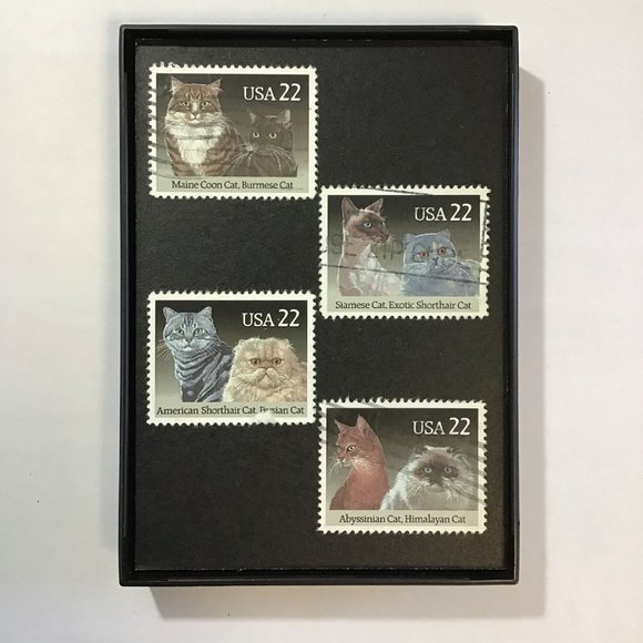 Cats - Recycled Postage Stamp Framed Art 3.5"x5", kitten, Siamese, Shorthair, ma - Picture 1 of 4